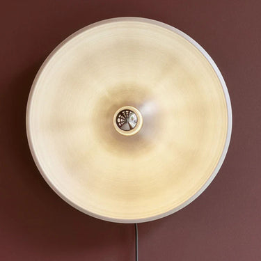 1_Sarfatti Model 262 for Astep Two Enlighten Los Angeles.jpg