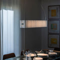 9Pli Foscarini Suspension Lamp Two Enlighten Los Angeles.jpg