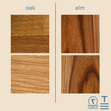 8-7-24 Elm_Oak Image.png
