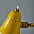 Two Enlighten - Jan 17th 2025 - 243 - Under 3.5 MB -_.jpg