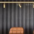 9M6036 M6037 Starlight 3 and Starlight 6.jpg
