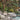 GUBI_Goes_Al_Fresco_Pacha_TS_Obello_2022_1.jpg