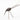bird5.jpeg