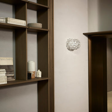 Caboche Plus Wall Light for Foscarini transparent.jpg