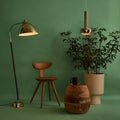 Two Enlighten vintage and modern homepage image spring 2024.jpg