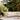 FH_Tradition_Light_Sand_Setting_1_D.jpg