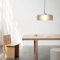 6Fanca Helg Franco Albini Model 2050 suspension lamp Astep Two Enlighten.jpg
