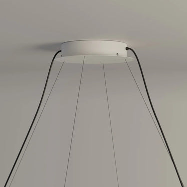 tekio canopy detail.jpg