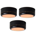 V3472 1950s Pierre Guariche Model G20 Ceiling Lamp for Disderot 1b.jpg
