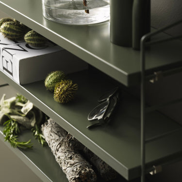 String Pocket Shelf Sage detail kitchen shelving.jpg