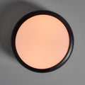 V3472 1950s Pierre Guariche Model G20 Ceiling Lamp for Disderot 9.jpg