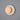 V3425 Sarfatti 608 wall lamp arteluce two enlighten5.jpg