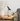 AJ Mini Table Lamp Black Lifestyle Arne Jacobsen Louis Poulsen.jpg
