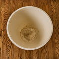 Two Enlighten - May 21st 2025 - 216 - Under 3.5 MB.jpg