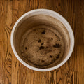 Two Enlighten - May 21st 2025 - 189 - Under 3.5 MB.jpg