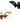 Vilhelm Lauritzen           VL Studio Wall Lamp Brass Black Hero Packshot Louis Poulsen Tw