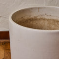 Two Enlighten - May 21st 2025 - 185 - Under 3.5 MB.jpg