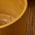 V3517Large 1970s Gainey Mustard Yellow Glazed Ceramic Planter