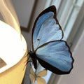 Fatterby ceiling lamp Ingo Maurer two enlighten butterfly closeup.jpg
