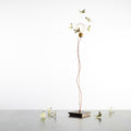 Five Butterflies Table Lamp Ingo Maurer two enlighten lifestyle (2).jpg