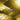 Oh Mei Ma Kabir Chandelier Ingo Maurer Two Enlighten Detail.jpg
