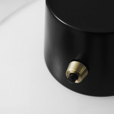 AJ Oxford brass switch detail