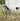 Modern outdoor pathway light in a grassy area with a white building in the background