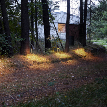 Wooded area with modern pathway lighting AJ bollard poulsen