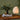 Wooden table with decorative items including a vase, books, and a lamp against a green wall.
