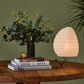 Wooden table with decorative items including a vase, books, and a lamp against a green wall.