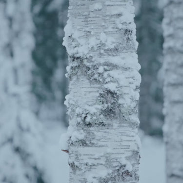 artek making of stool