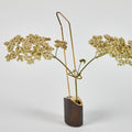 Small brown vase with a plant on a light gray background