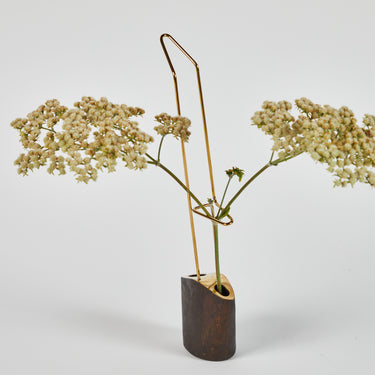 Small brown vase with a plant on a light gray background