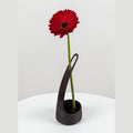 Red flower in a black vase on a white surface with a white background