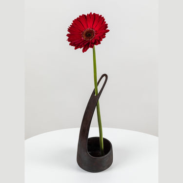 Red flower in a black vase on a white surface with a white background