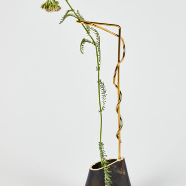 Black vase with a plant on a white background