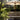 Beige patio umbrella over a wooden table with chairs in a garden setting