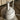 White Finn Juhl lamp on a wooden surface with a blurred background