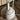 White Finn Juhl lamp on a wooden surface with a blurred background