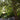 PH 2/1 portable brass table lamp louis poulsen poul henningsen two enlighten outdoor bistro lifestyle 