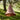 Tratten Copper pendant light hanging outdoors with a natural background