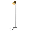 Gold floor lamp with black base on a white background
