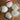 Set of white lampshades with colorful metal rings on a wooden floor.