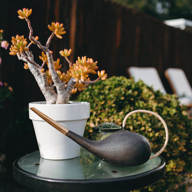 auböck watering can brass and cane