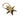 Gold star-shaped keyring on a light gray background