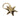 Gold star-shaped keyring on a light gray background