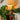 plisse table lamp and aubock hand bookend two enlighten