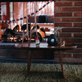 aubock 3511 walnut low table