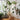 4059707_Eames Elephant Plywood_v_fullbleed_1440x.jpg
