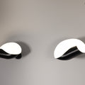 Conche Paire.jpg